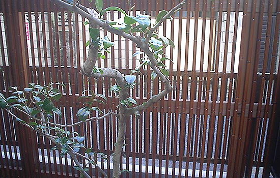 人工竹のフェンス2